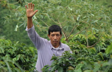 Carvajal Family Kaffeefarmer der Kooperative