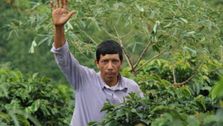 Carvajal Family Kaffeefarmer der Kooperative